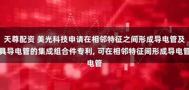 天尊配资 美光科技申请在相邻特征之间形成导电管及具导电管的集成组合件专利, 可在相邻特征间形成导电管