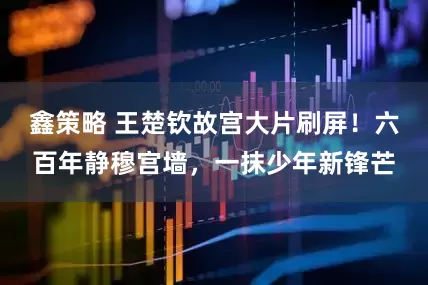 鑫策略 王楚钦故宫大片刷屏！六百年静穆宫墙，一抹少年新锋芒